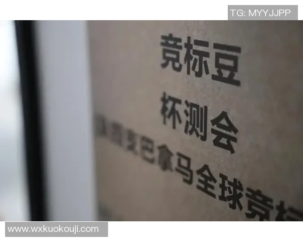 张秀英的飞盘人生：从热爱到梦想的深度对话与人生启示